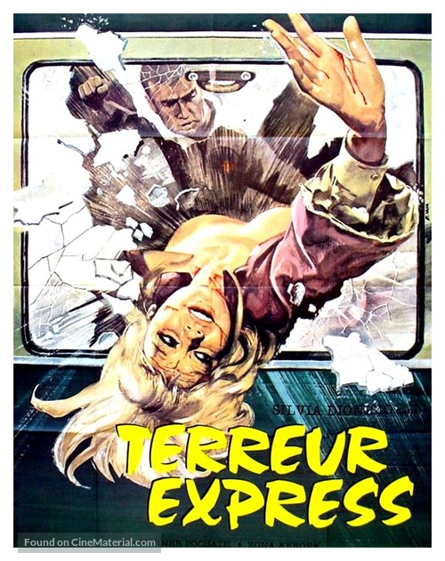 La ragazza del vagone letto - French Movie Poster