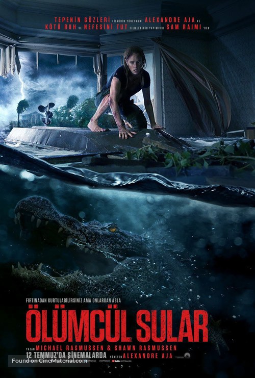 Crawl - Turkish Movie Poster