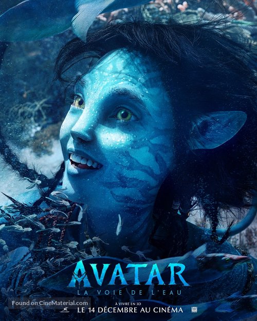 Avatar: The Way of Water - French Movie Poster