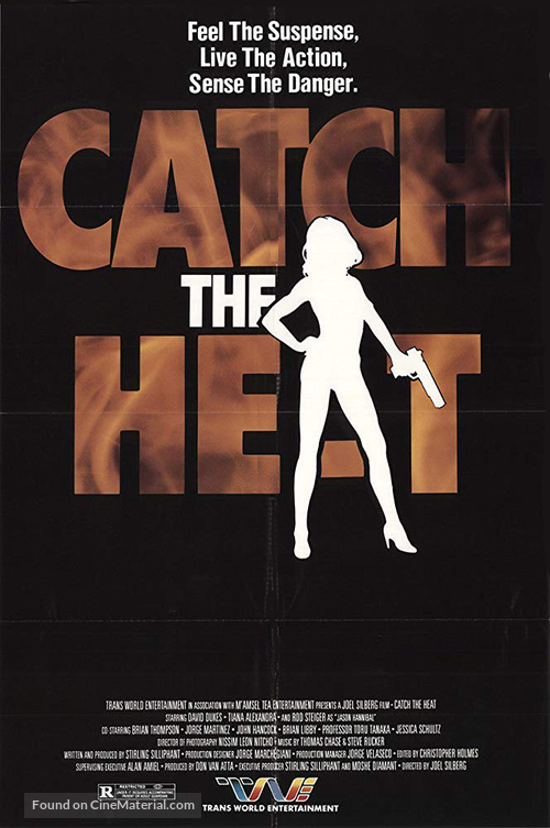 Catch the Heat - Movie Poster