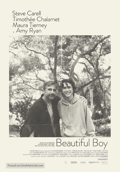 Beautiful Boy - Spanish Movie Poster