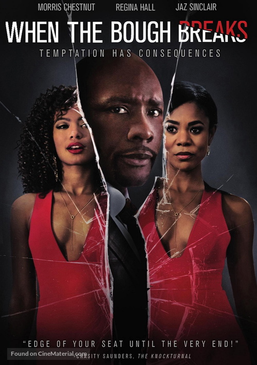 When the Bough Breaks - DVD movie cover