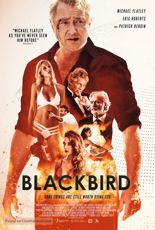 Blackbird - British Movie Poster