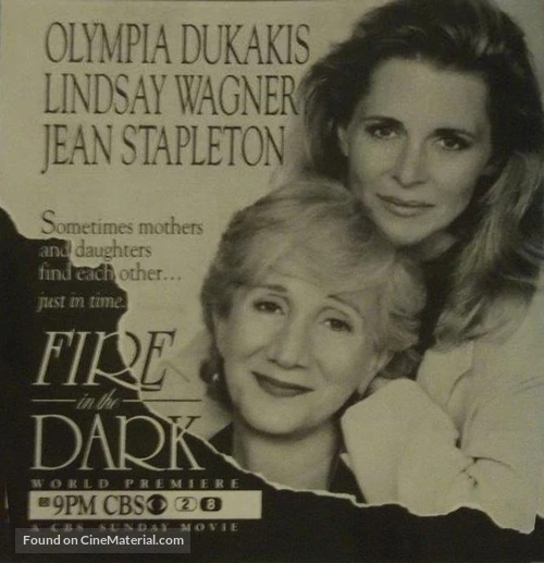 Fire in the Dark - poster