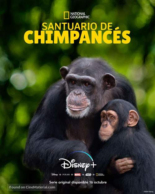 &quot;Meet the Chimps&quot; - Spanish Movie Poster