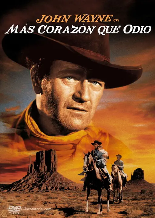 The Searchers - Argentinian DVD movie cover