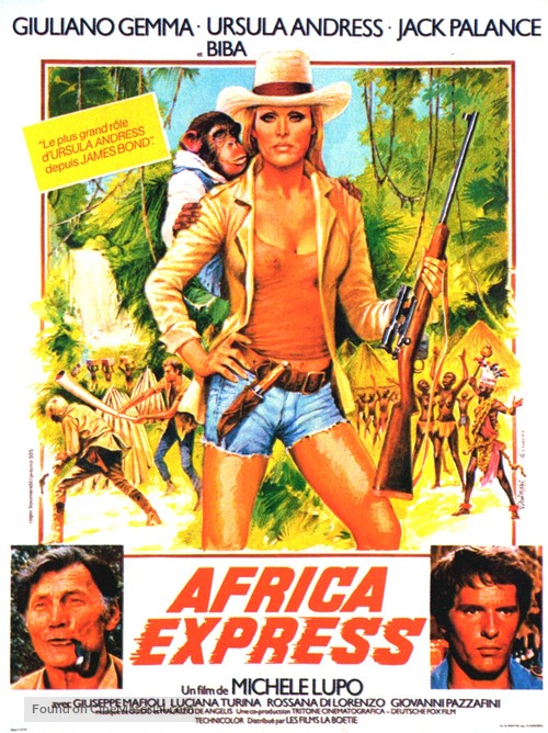 Africa Express - French Movie Poster