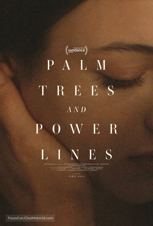 Palm Trees and Power Lines - Movie Poster