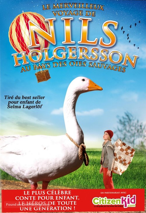 Nils Holgerssons wunderbare Reise - French DVD movie cover