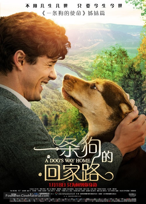 A Dog&#039;s Way Home - Chinese Movie Poster