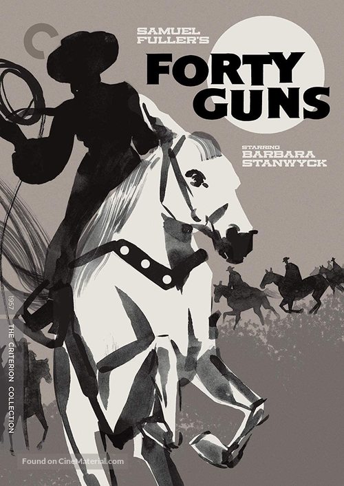 Forty Guns - DVD movie cover