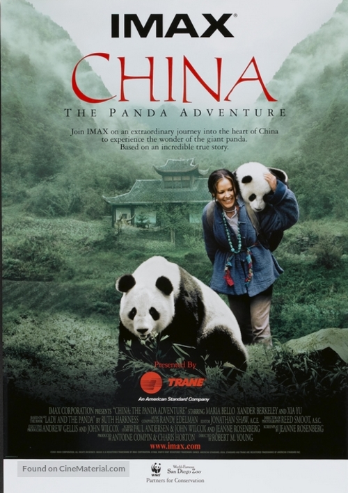 China: The Panda Adventure - French Movie Poster