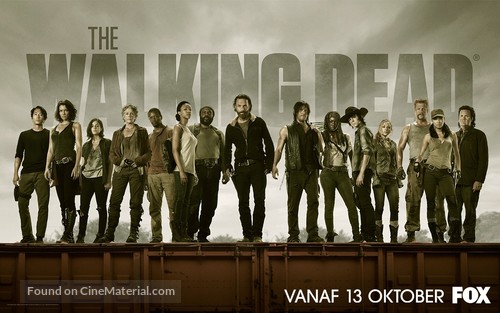 &quot;The Walking Dead&quot; - Romanian Movie Poster