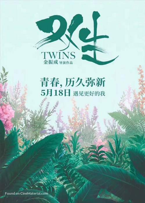 The Twins - Chinese Movie Poster