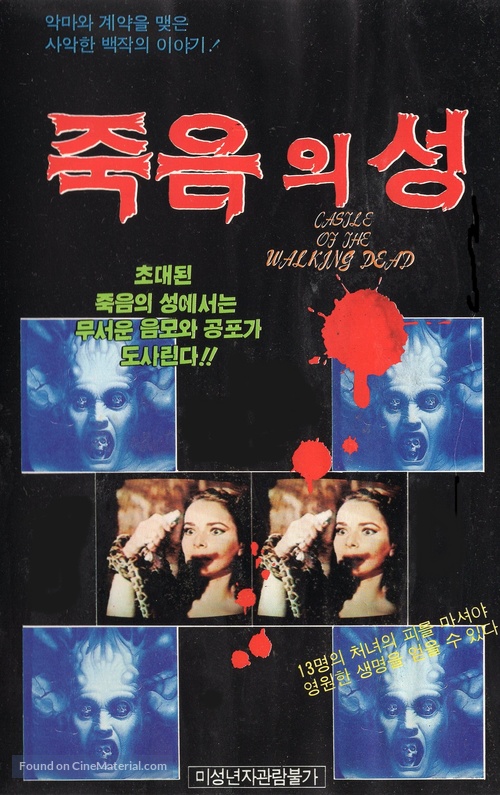 Die Schlangengrube und das Pendel - South Korean VHS movie cover