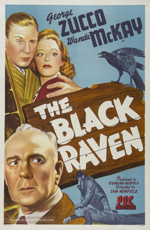 The Black Raven - Movie Poster