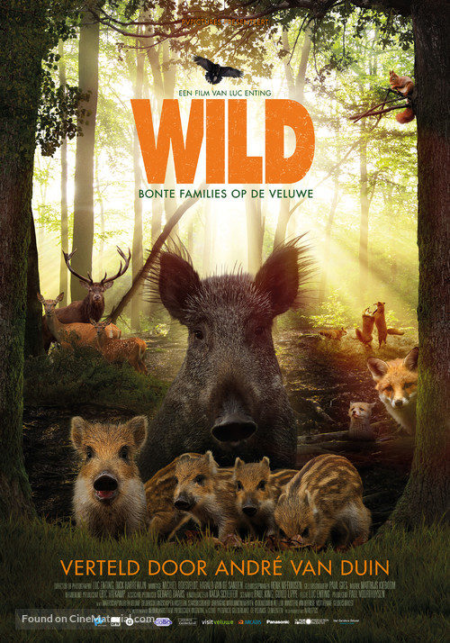 Wild - Dutch Movie Poster