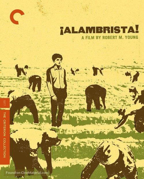 Alambrista! - Blu-Ray movie cover