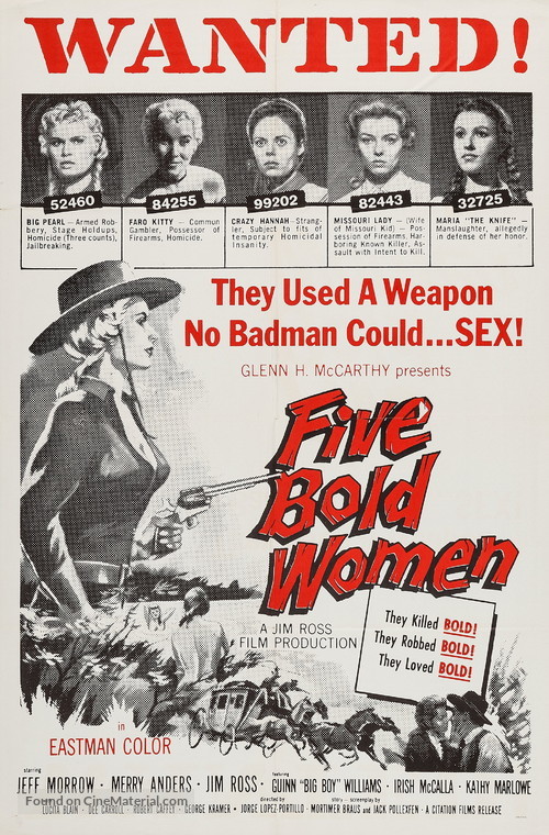 Five Bold Women - Movie Poster