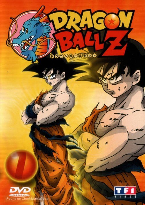 &quot;Dragon Ball Z&quot; - French DVD movie cover