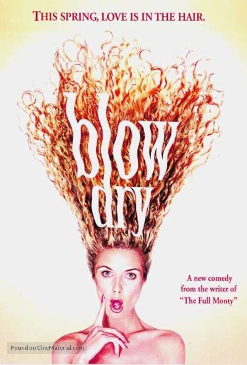 Blow Dry - DVD movie cover