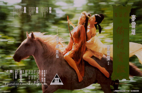 Rou pu tuan zhi tou qing bao jian - Hong Kong Movie Poster