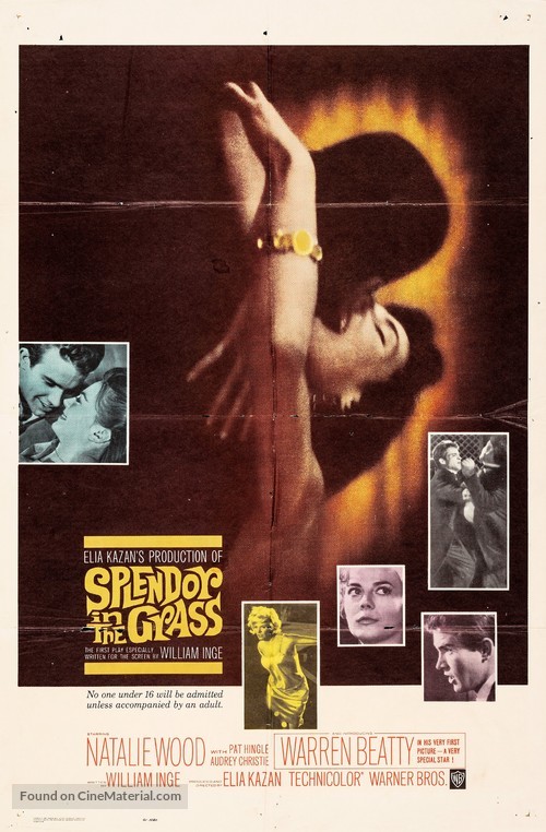 Splendor in the Grass - Movie Poster