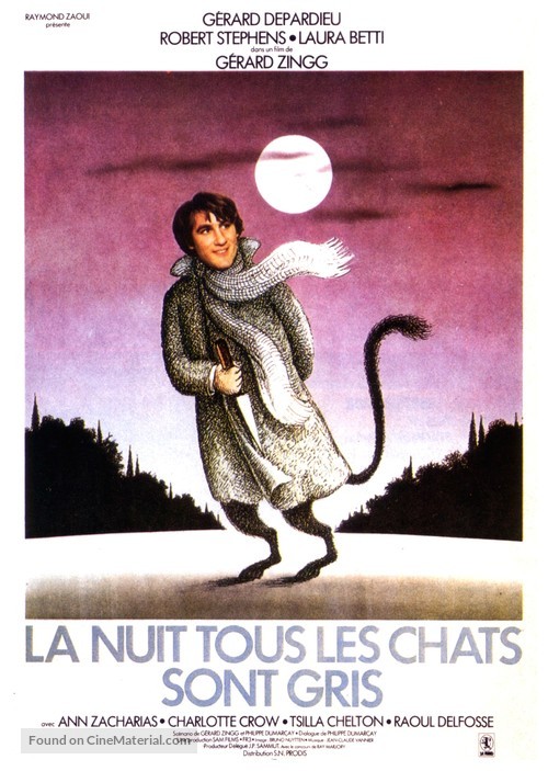 La nuit, tous les chats sont gris - French Movie Poster