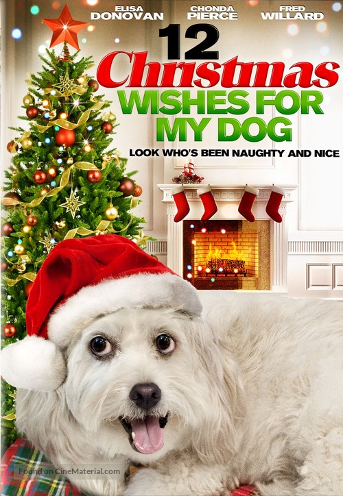 12 Wishes of Christmas - DVD movie cover