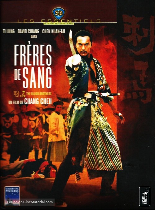 Chi ma - French DVD movie cover