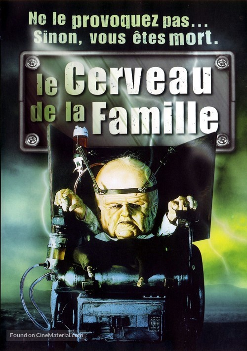 Head of the Family - French DVD movie cover
