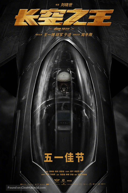 Born to Fly - Chinese Movie Poster