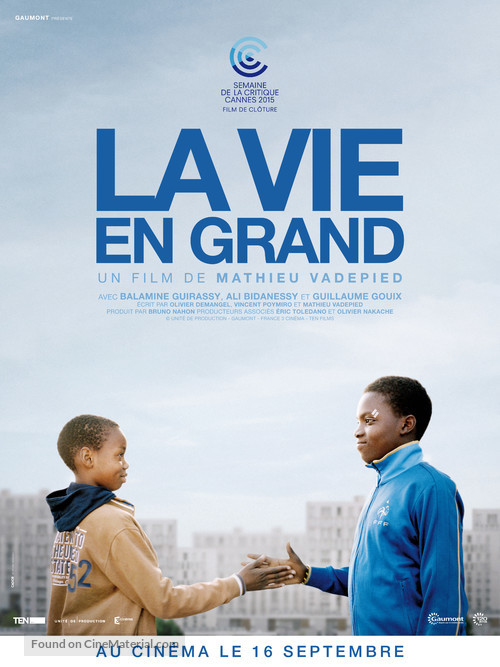 La vie en grand - French Movie Poster