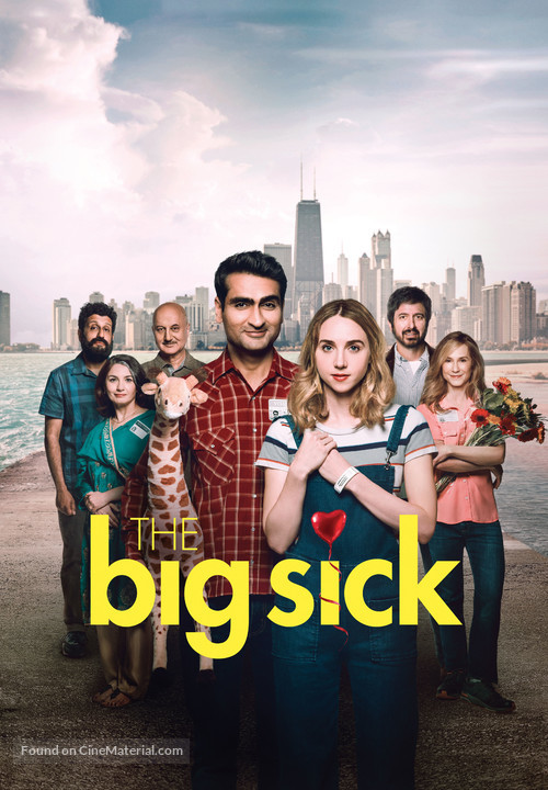 The Big Sick - Movie Cover