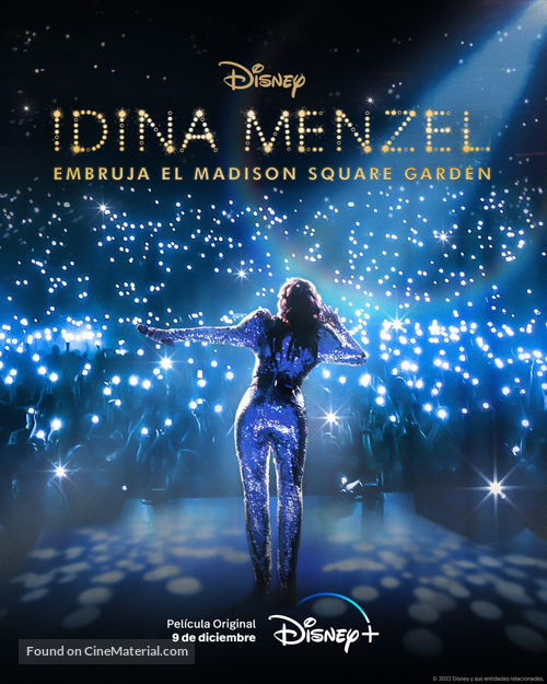 Idina Menzel: Which Way to the Stage? - International Movie Poster