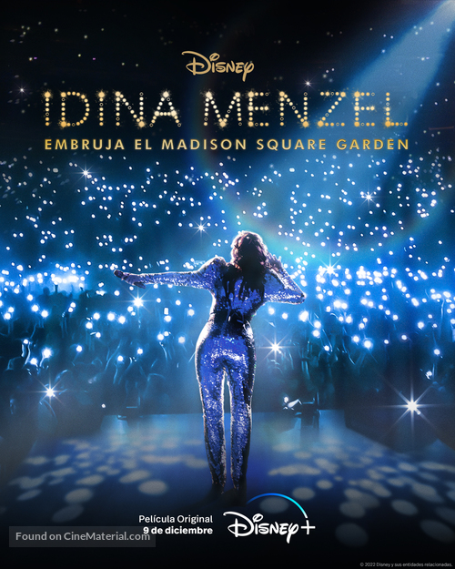 Idina Menzel: Which Way to the Stage? - International Movie Poster