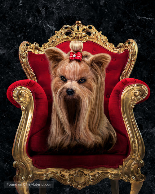 Show Dogs - Key art