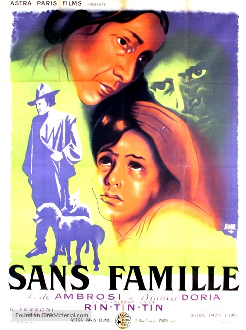 Senza famiglia - French Movie Poster