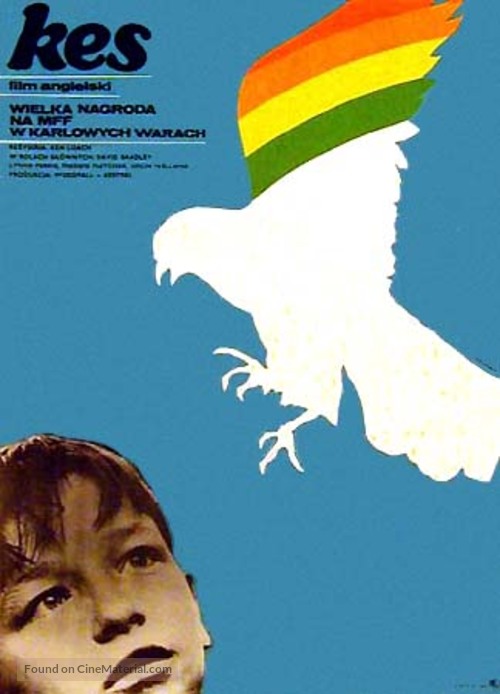 Kes - Polish Movie Poster