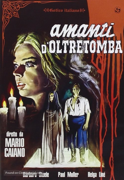 Amanti d&#039;oltretomba - Italian DVD movie cover
