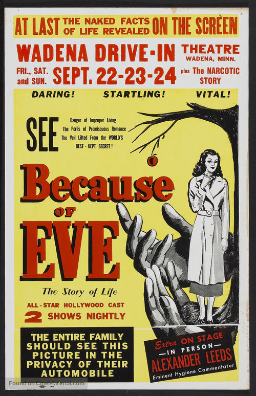 Because of Eve - Movie Poster