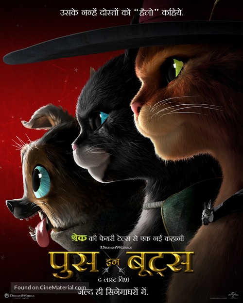 Puss in Boots: The Last Wish - Indian Movie Poster