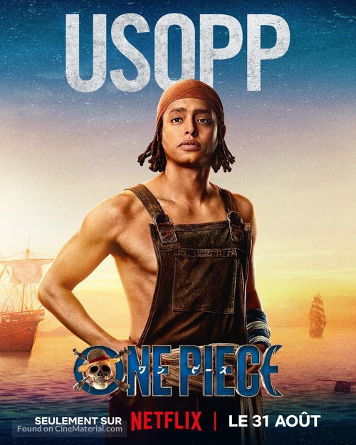 &quot;One Piece&quot; - French Movie Poster