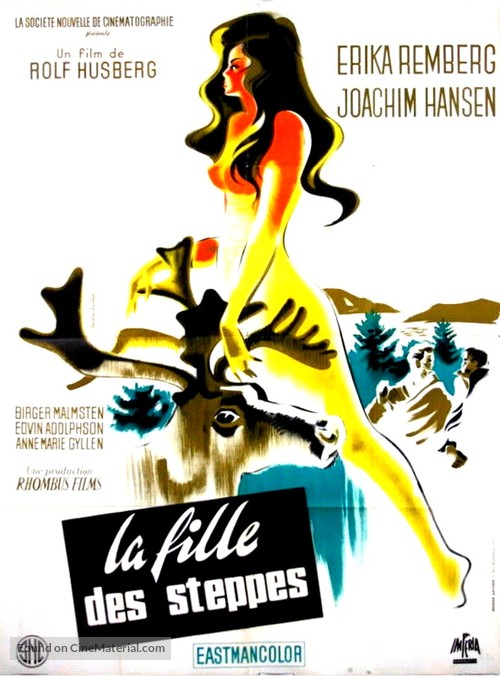 Laila - French Movie Poster