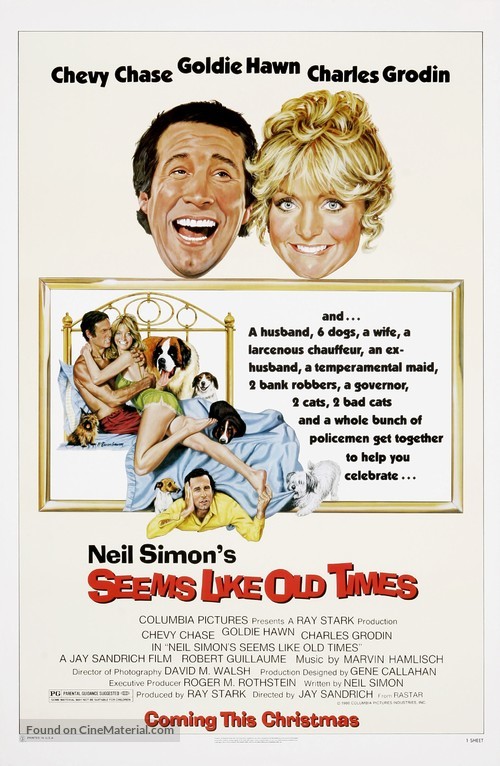 Seems Like Old Times - Movie Poster