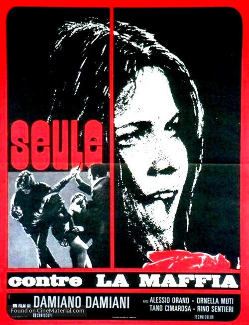 La moglie pi&ugrave; bella - French Movie Poster