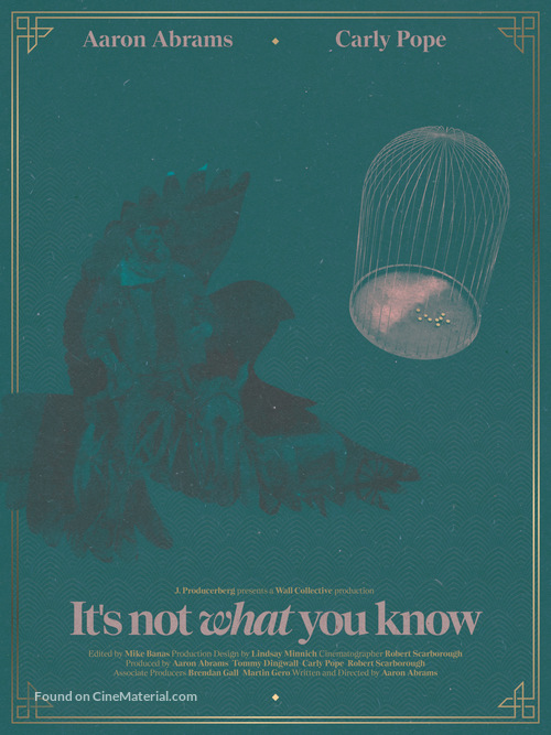 It&#039;s Not What You Know - Movie Poster