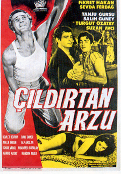 &Ccedil;ildirtan arzu - Turkish Movie Poster