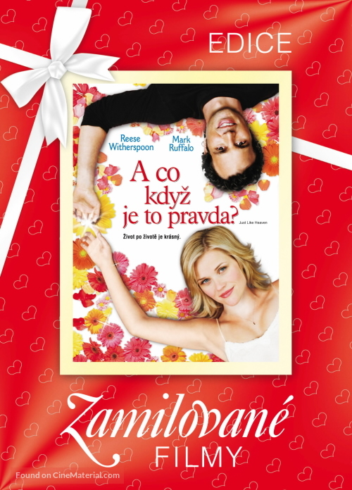 Just Like Heaven - Czech DVD movie cover