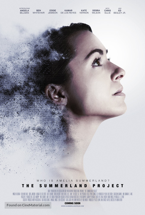 Amelia 2.0 - Movie Poster